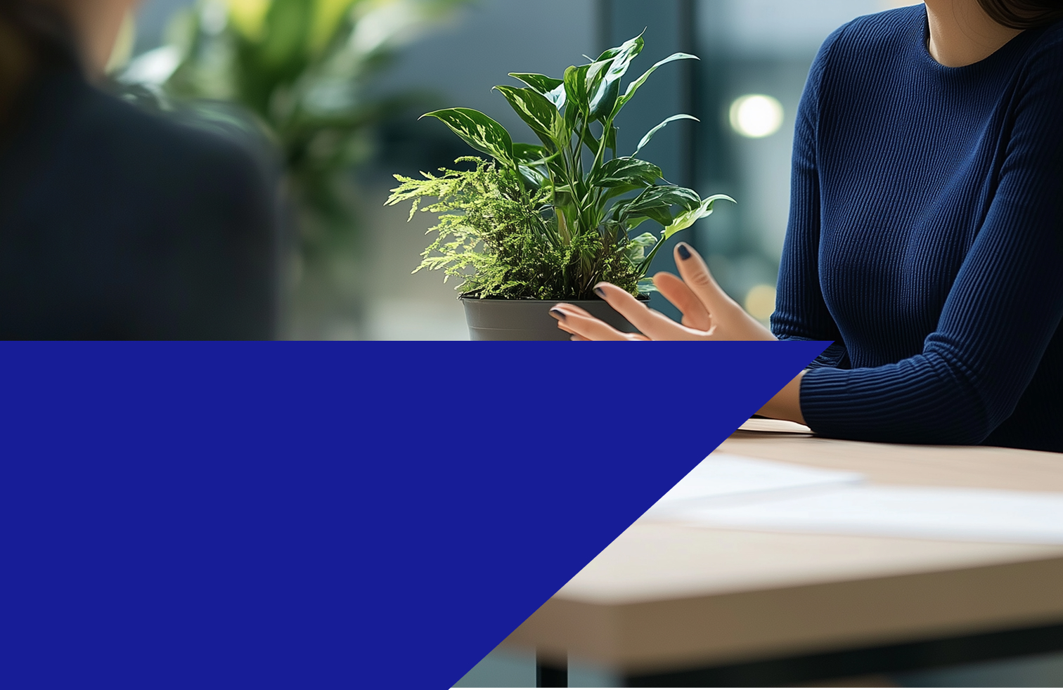 RIMG – Form 64 – Assessment Return